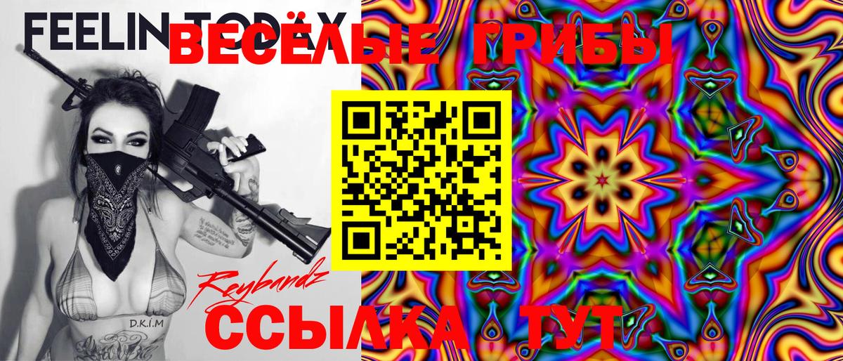 Псилоцибиновые грибы Psilocybe Тайшет