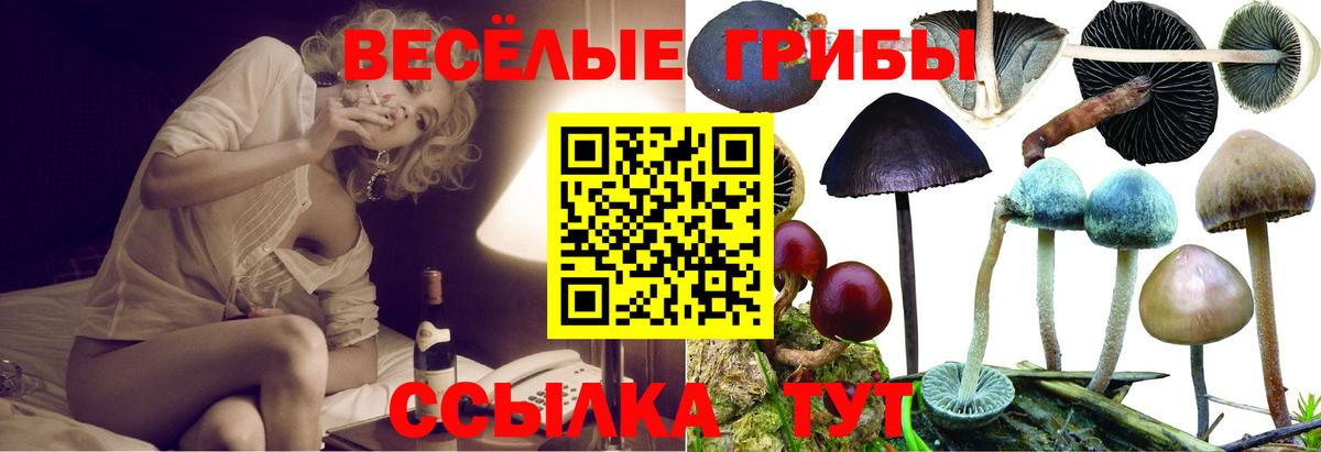 Псилоцибиновые грибы Cubensis  Вход с VPN  Тайшет 